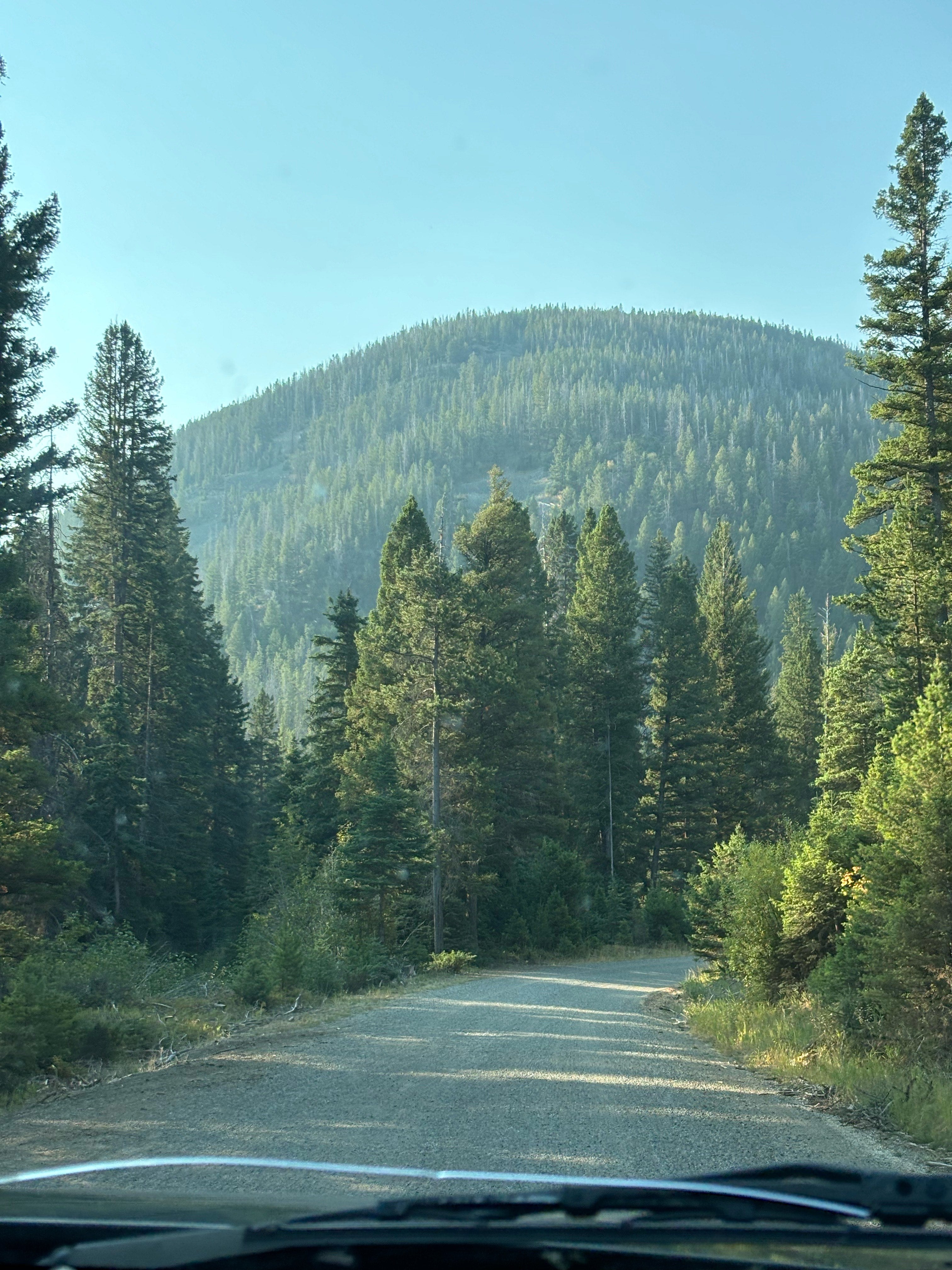 rocky-mountains.jpg